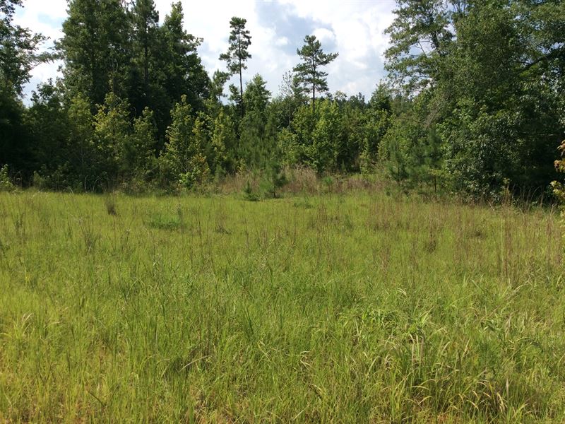 Swanner Bridge Rd Tract 2 : Rutledge : Crenshaw County : Alabama