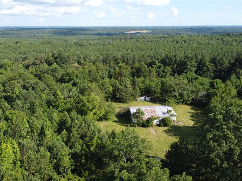 40 Acres Taylor's Crossroads : Roanoke : Randolph County : Alabama