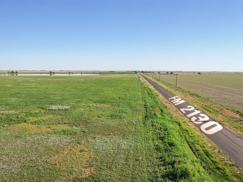 West Texas Land for Sale At Auction, Farm Auction in Texas, 353724