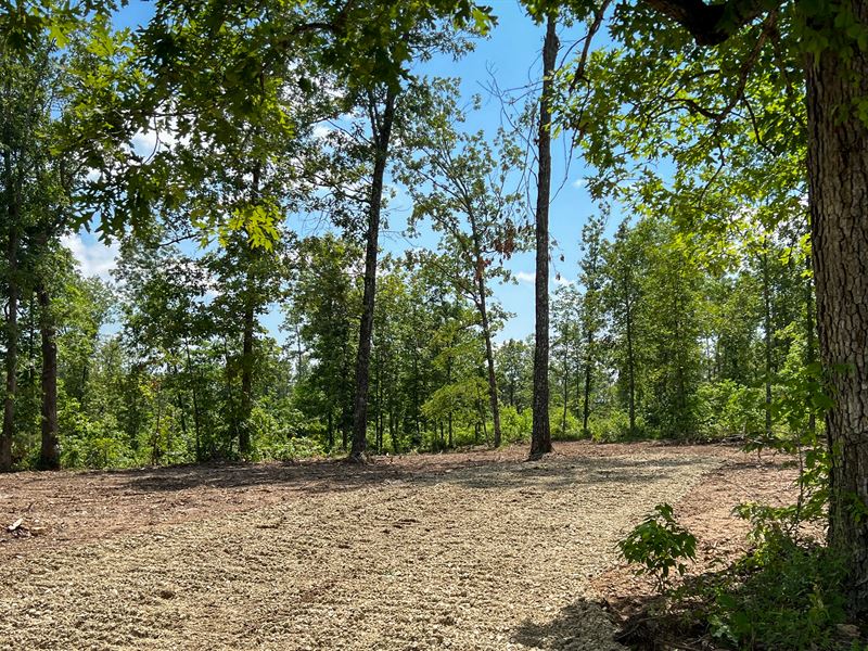 A Sportsman's Paradise : Houston : Texas County : Missouri
