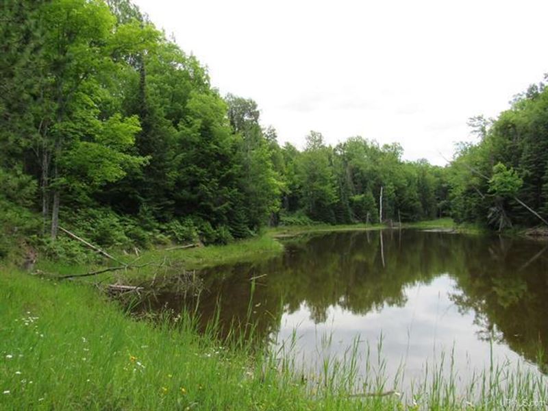 47+ Acres, Pond 50114744 : L'anse : Baraga County : Michigan