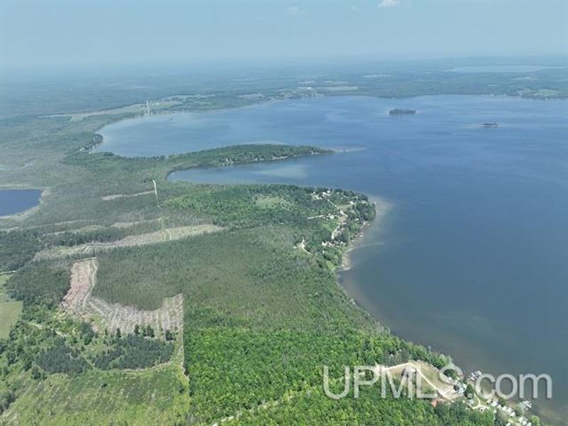 50 Acres Big Manistique Lake Prop 5, Farm for Sale in Michigan, 353836