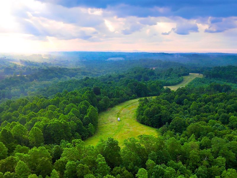 5.2 Acres, Road Access & Power : Deer Haven Rd : Stewart County : Tennessee