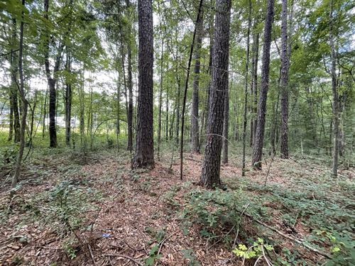 11.7 Acres in Newton County in Newt : Newton : Mississippi