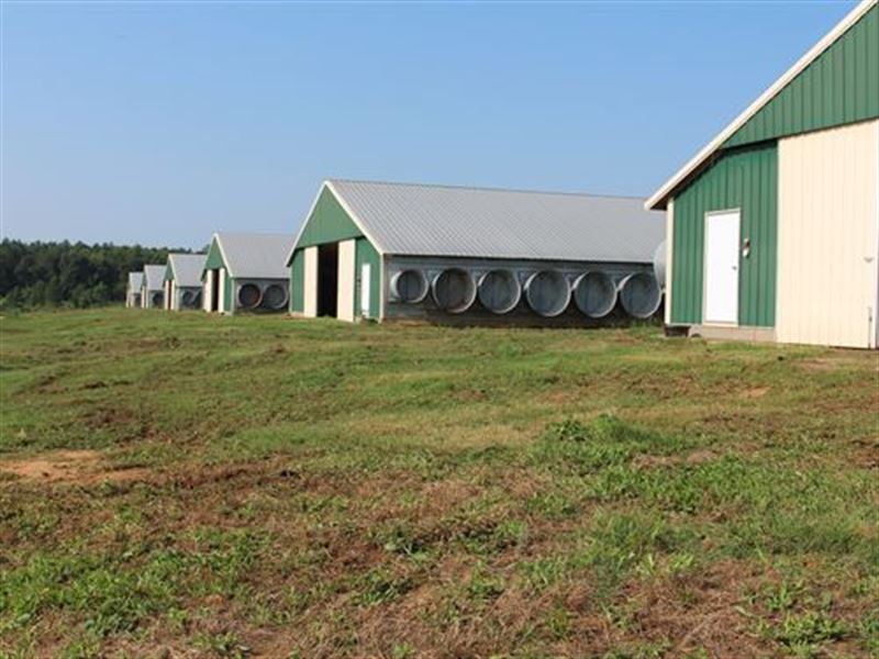 Awesome 6 House Broiler Farm : Unadilla : Pulaski County : Georgia