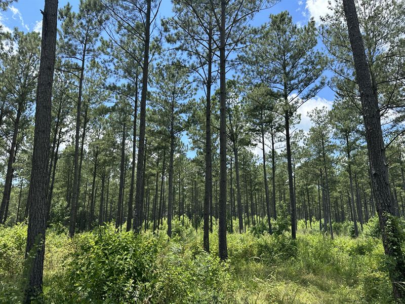 Martin Mill : Eatonton : Putnam County : Georgia