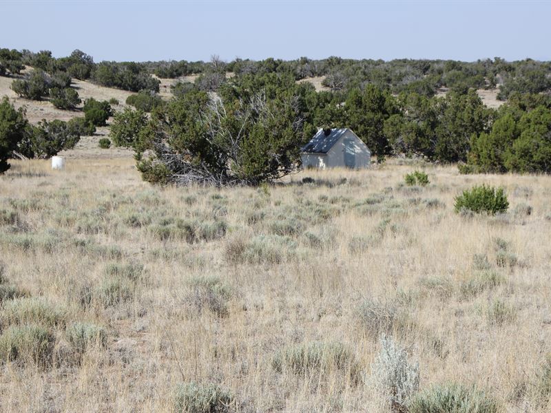 30 Acres with Private Well : Saint Johns : Apache County : Arizona