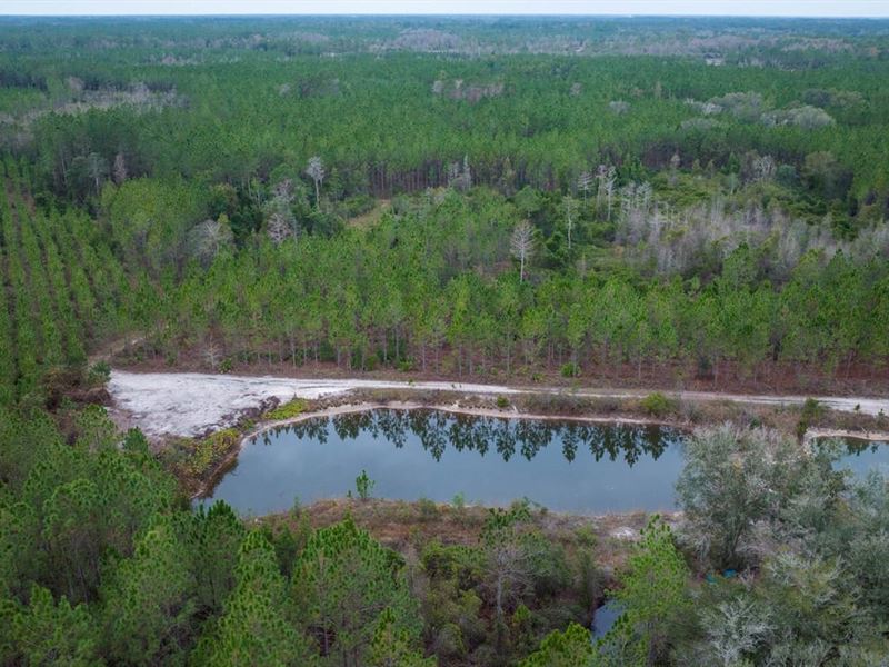Moody Place : Perry : Taylor County : Florida