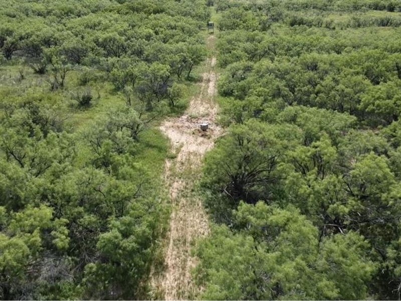 40 Acre Hunting/Recreation in Young : Olney : Young County : Texas