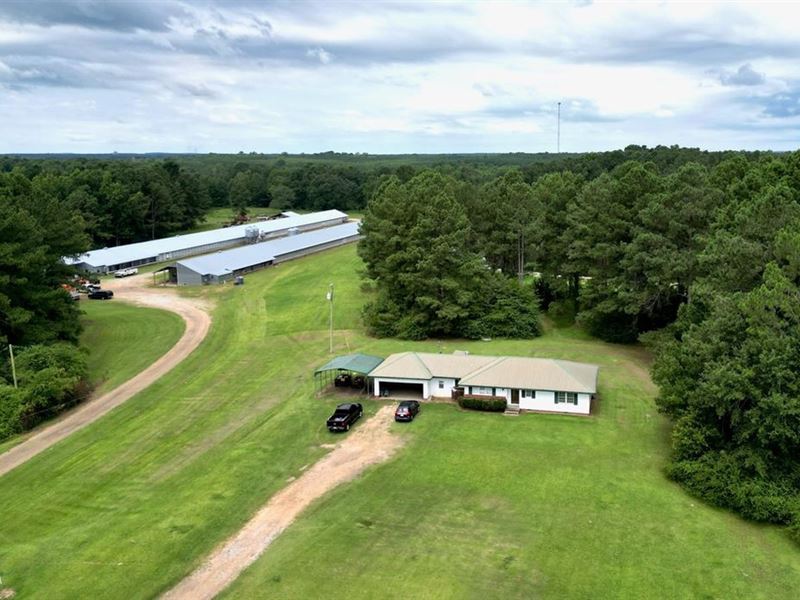 Poultry Breeder Turnkey Farm, 40 : Decatur : Newton County : Mississippi