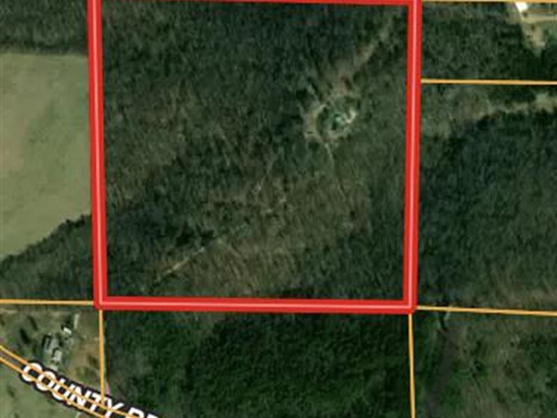 Secluded and Private : Vanzant : Douglas County : Missouri