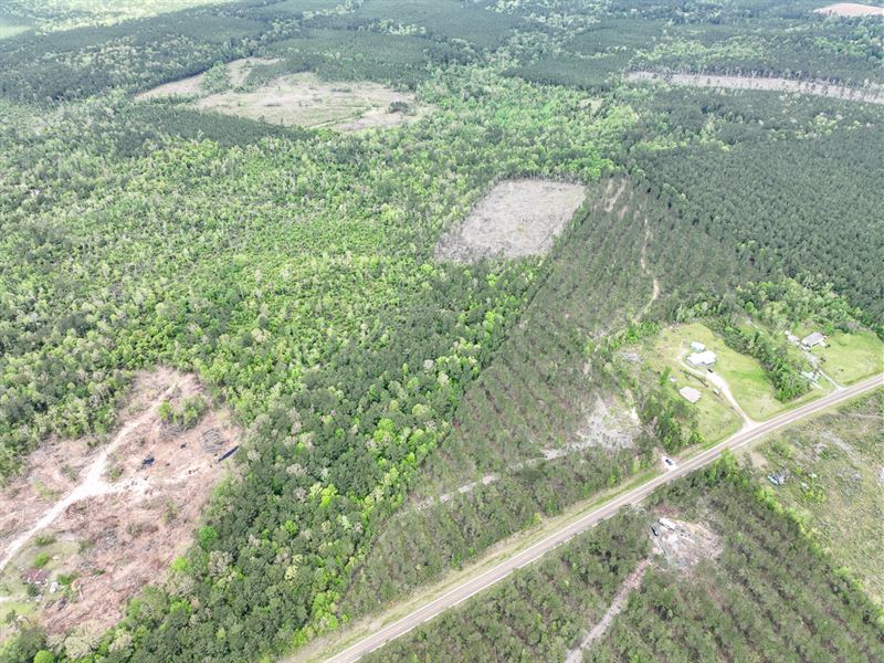 28 Acres, FM 1012 : Jamestown : Newton County : Texas