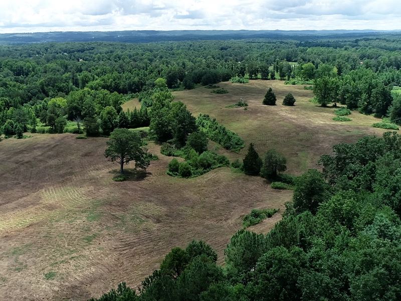43 Acre Farm, Pond & Barn : Cleveland : Blount County : Alabama