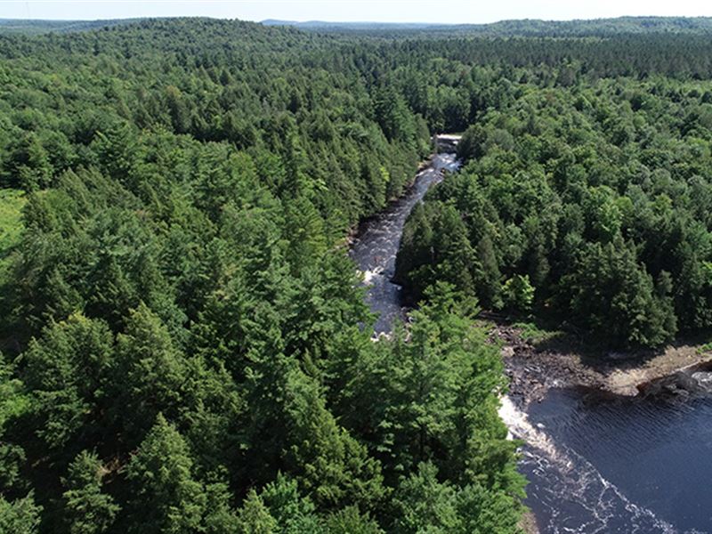 Lower Oswegatchie River Parcel 1 : Edwards : Saint Lawrence County : New York