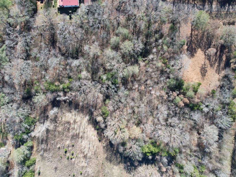 5.1 Acres Just an Hour From Dallas : Grand Saline : Van Zandt County : Texas