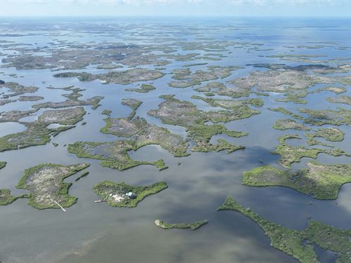 Homosassa Islands : Homosassa : Citrus County : Florida