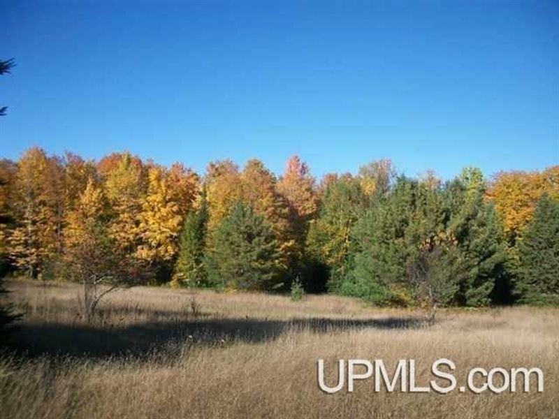 Michigan Vacant Recreational : Sidnaw : Houghton County : Michigan