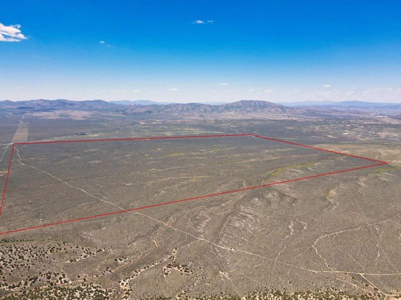 White Flats Ranch : Spring Creek : Elko County : Nevada