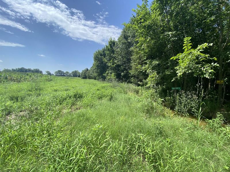 Green Ln 25 : Mer Rouge : Morehouse Parish : Louisiana