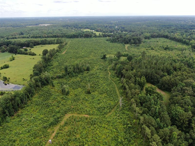 93 Acres Perry County : Marion : Perry County : Alabama