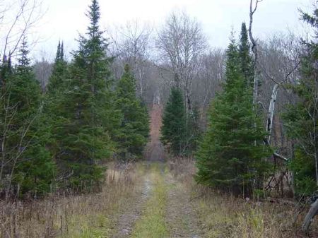 Tbd Hwy M28 Mls 1056525 : Covington : Baraga County : Michigan