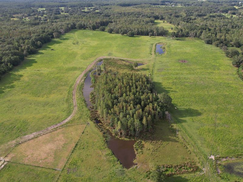 Lake County Ranch Land 110 : Groveland : Lake County : Florida