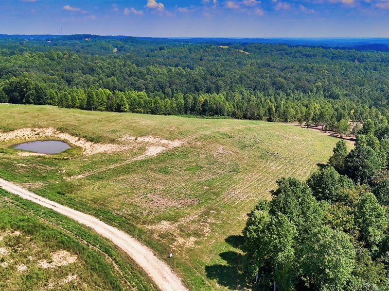 5.2 Acres, NO HOA, Live in RV : Indian Mound : Stewart County : Tennessee