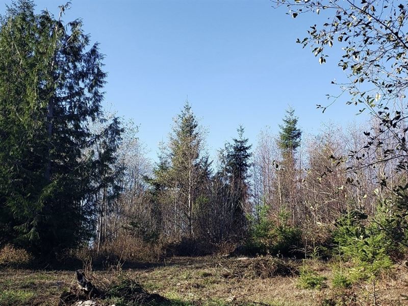 5.6 Ac for Sale in Ravensdale, WA : Ravensdale : King County : Washington