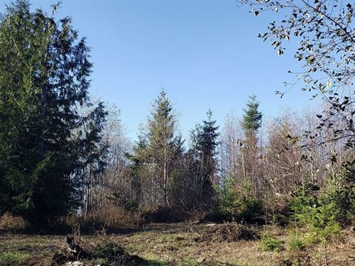 5.6 Ac for Sale in Ravensdale, WA : Ravensdale : King County : Washington