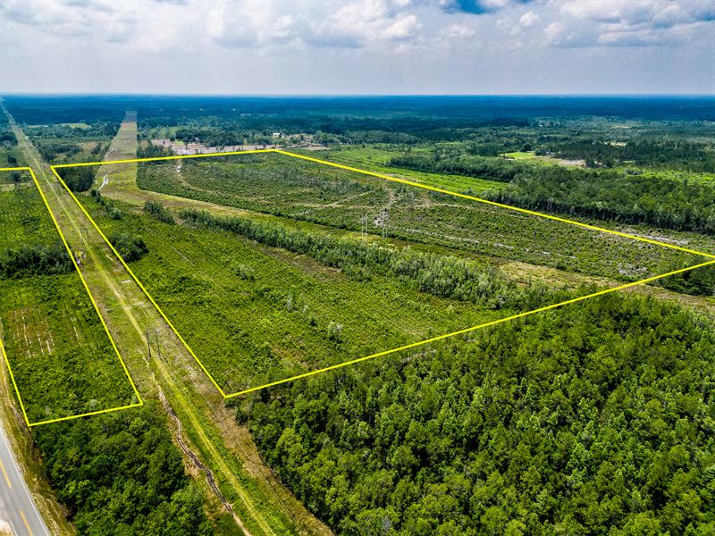 Tract 7, 119.545 Acres, Hwy 32 E : Hortense : Brantley County : Georgia
