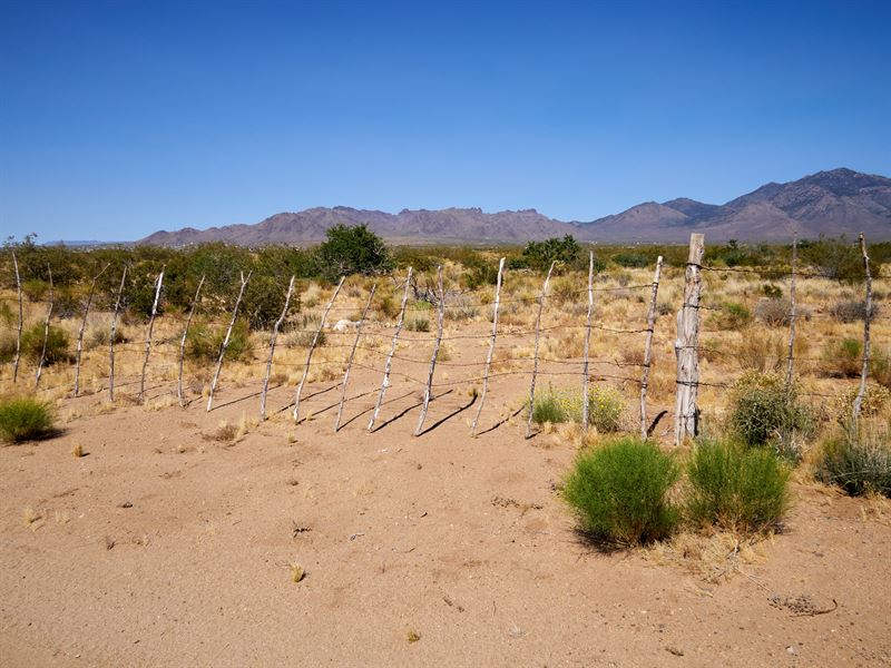 Doble Lot Near Highway : Dolan Springs : Mohave County : Arizona