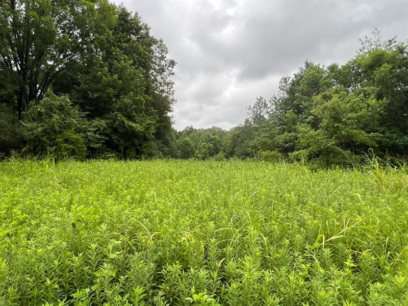 La, West Carroll 120 Acres : Oak Grove : West Carroll Parish : Louisiana
