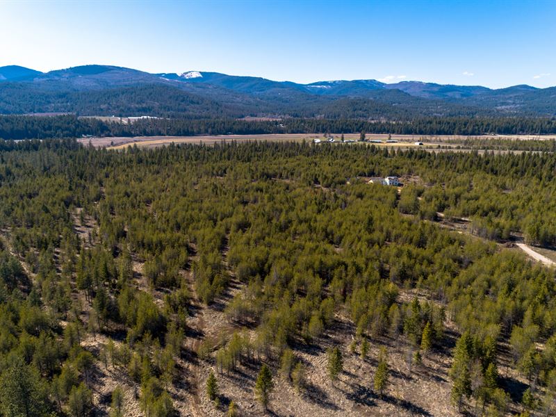 Timberland Serenity, Parcel 2 : Priest River : Bonner County : Idaho
