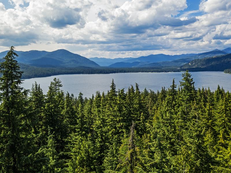 Priest Lake Beauty : Coolin : Bonner County : Idaho