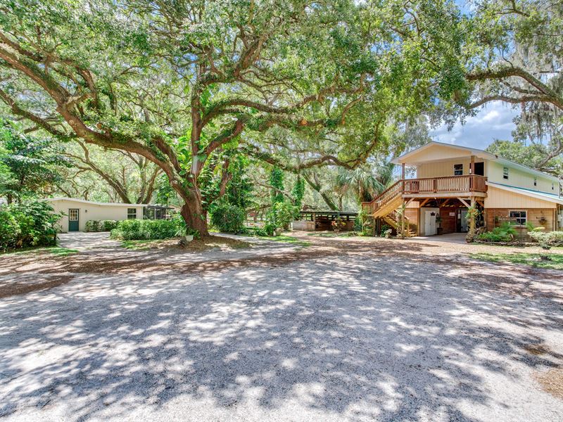 Lutz Equestrian Homestead : Lutz : Hillsborough County : Florida