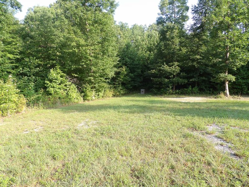 Level, Some Cleared and Roads : Crossville : Bledsoe County : Tennessee