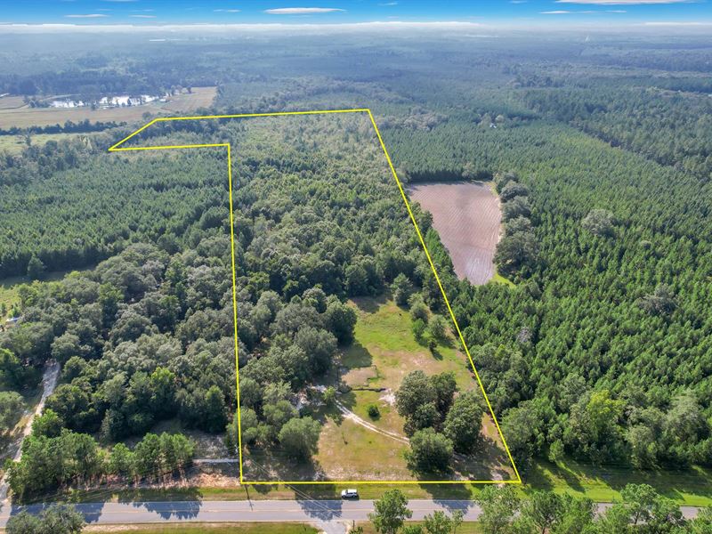 23 Acres on Whaley Rd : Jesup : Wayne County : Georgia