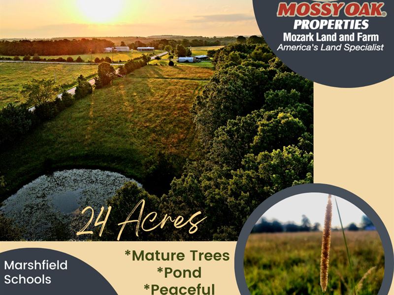 24 Acres in Marshfield MO : Marshfield : Webster County : Missouri