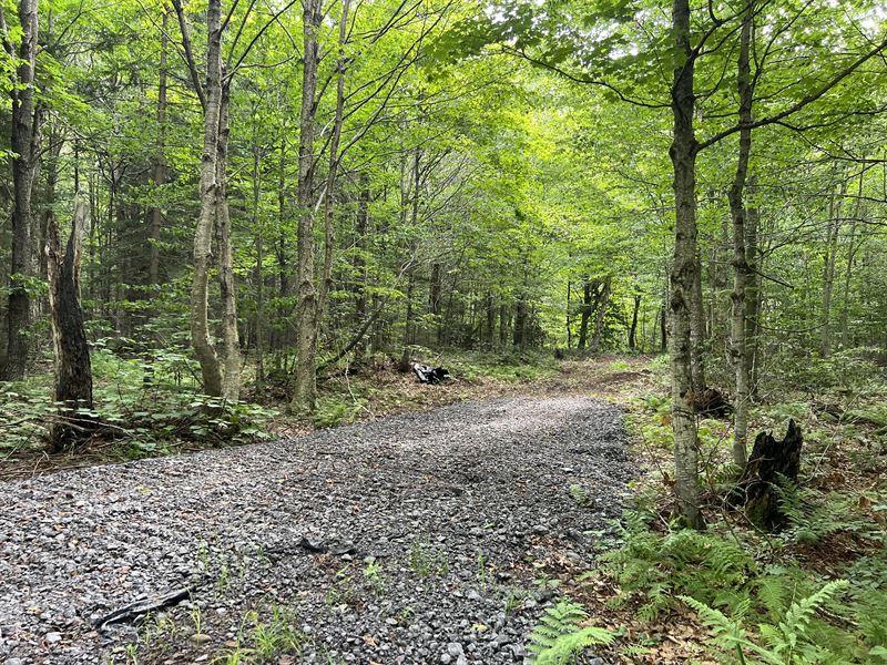 Near Lake Ontario : Lorraine : Jefferson County : New York