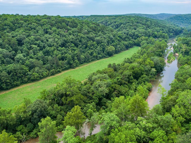 Robinson Hollow : West Plains : Douglas County : Missouri