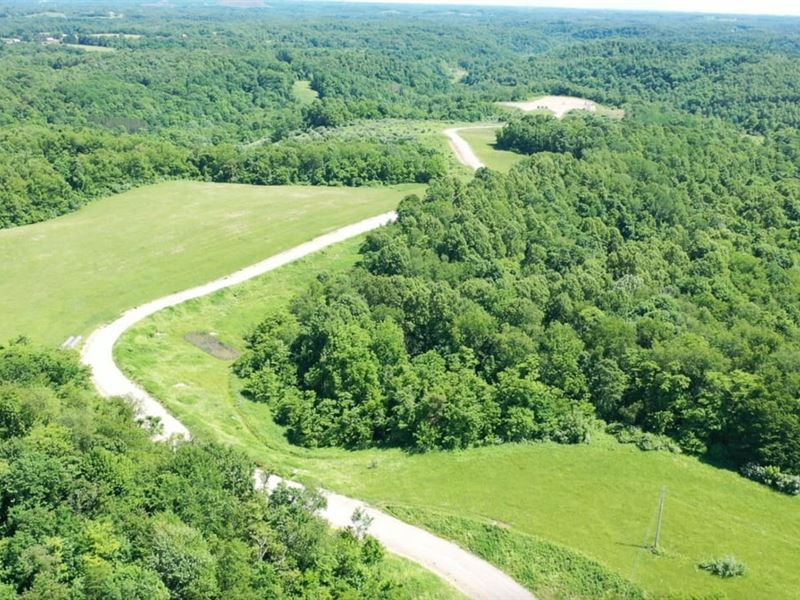 Everett Turner Dory Rd, 270 Acres : Bethesda : Belmont County : Ohio