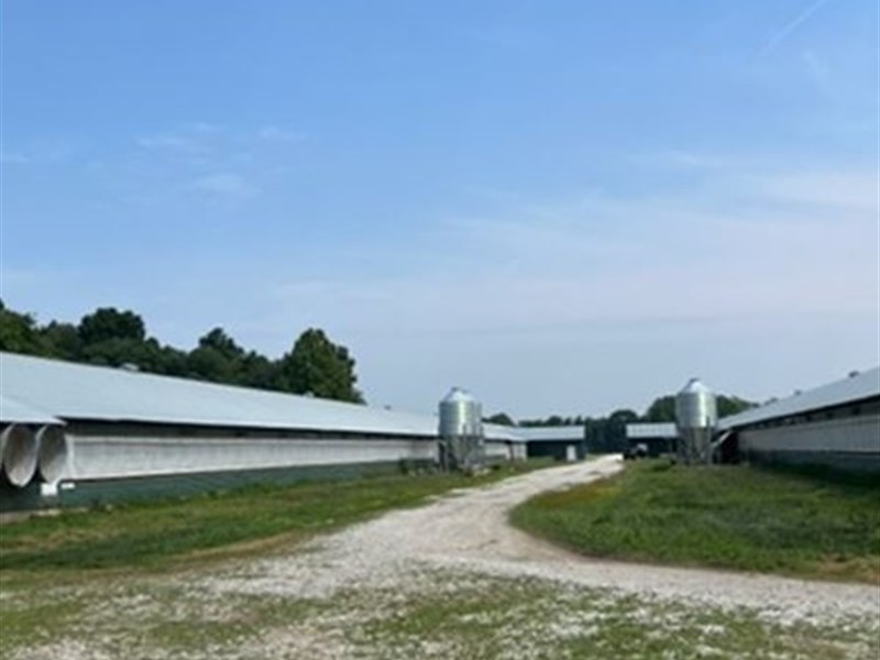 4 House Breeder Farm in TN : Winchester : Franklin County : Tennessee
