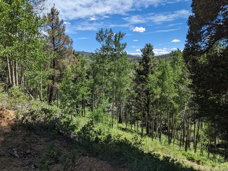 Corner Lot, RV Friendly : Fort Garland : Costilla County : Colorado