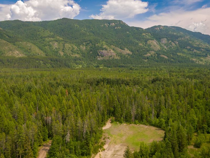 Moose Crossing : Columbia Falls : Flathead County : Montana