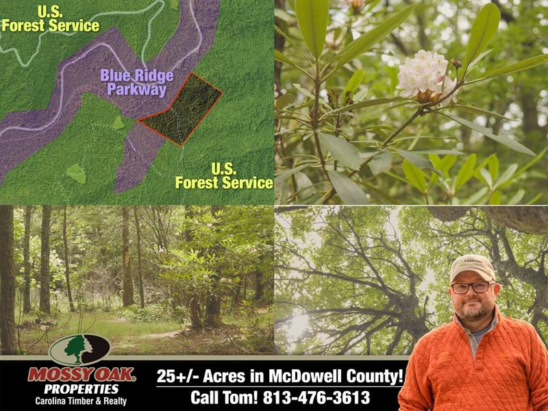 25 Acres 100 Surrounded by Usfs : Old Fort : McDowell County : North Carolina