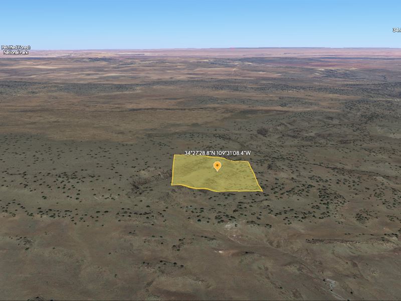 Unbelievable Land Deal in Arizona : Saint Johns : Apache County : Arizona