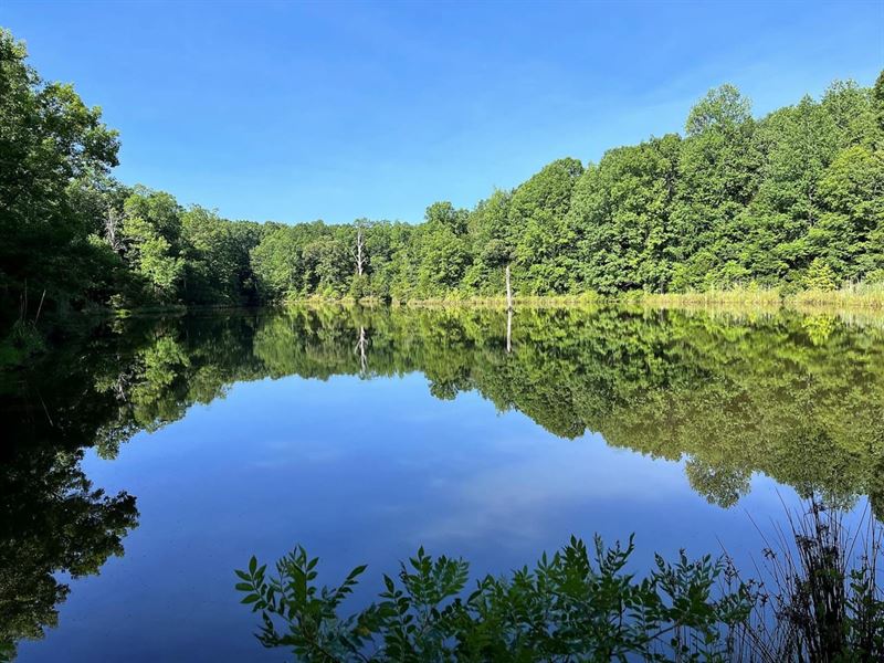 Beautiful Acreage & Homesite : Forsyth : Monroe County : Georgia