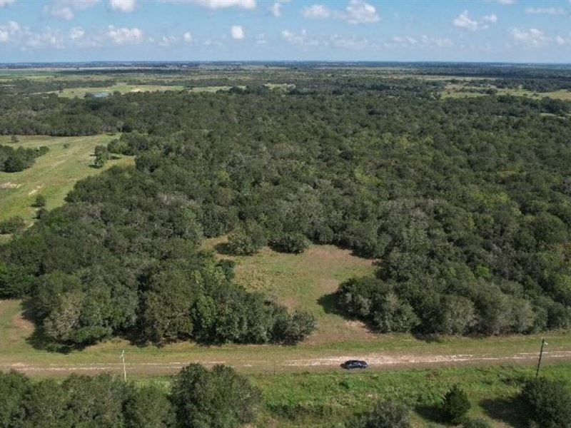5 Acres for Sale in Francitas, TX : Francitas : Jackson County : Texas
