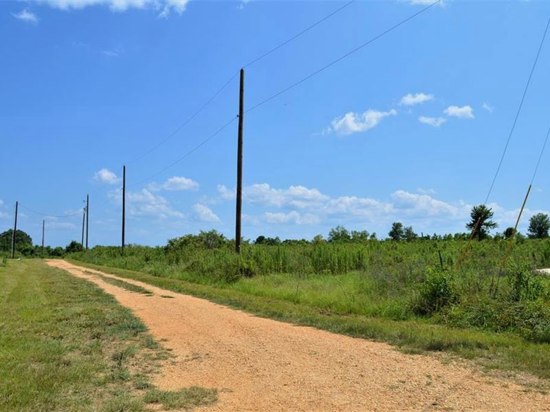 10 Acres Of Land for Sale in Fernwo : McComb : Pike County : Mississippi