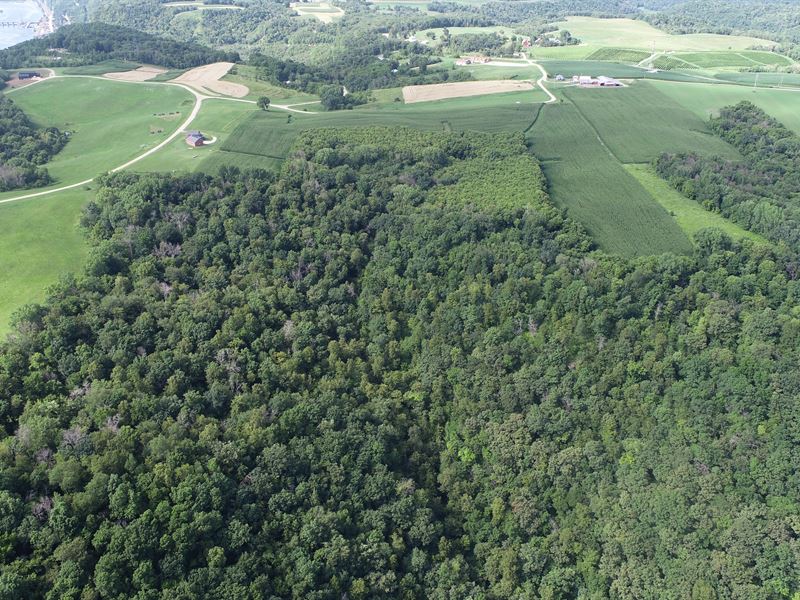 65 Acres Buffalo County : Alma : Buffalo County : Wisconsin